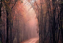 爱游戏:手感火热!席菲诺8投6中&5罚5中砍下18+5填满数据栏 正负值+5.