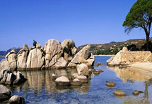 爱游戏：[欧冠]门将压哨头球破门 拉齐奥战平马竞.